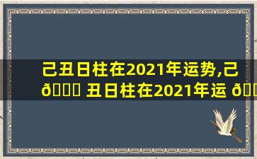 己丑日柱在2021年运势,己 🐈 丑日柱在2021年运 🍁 势怎么样